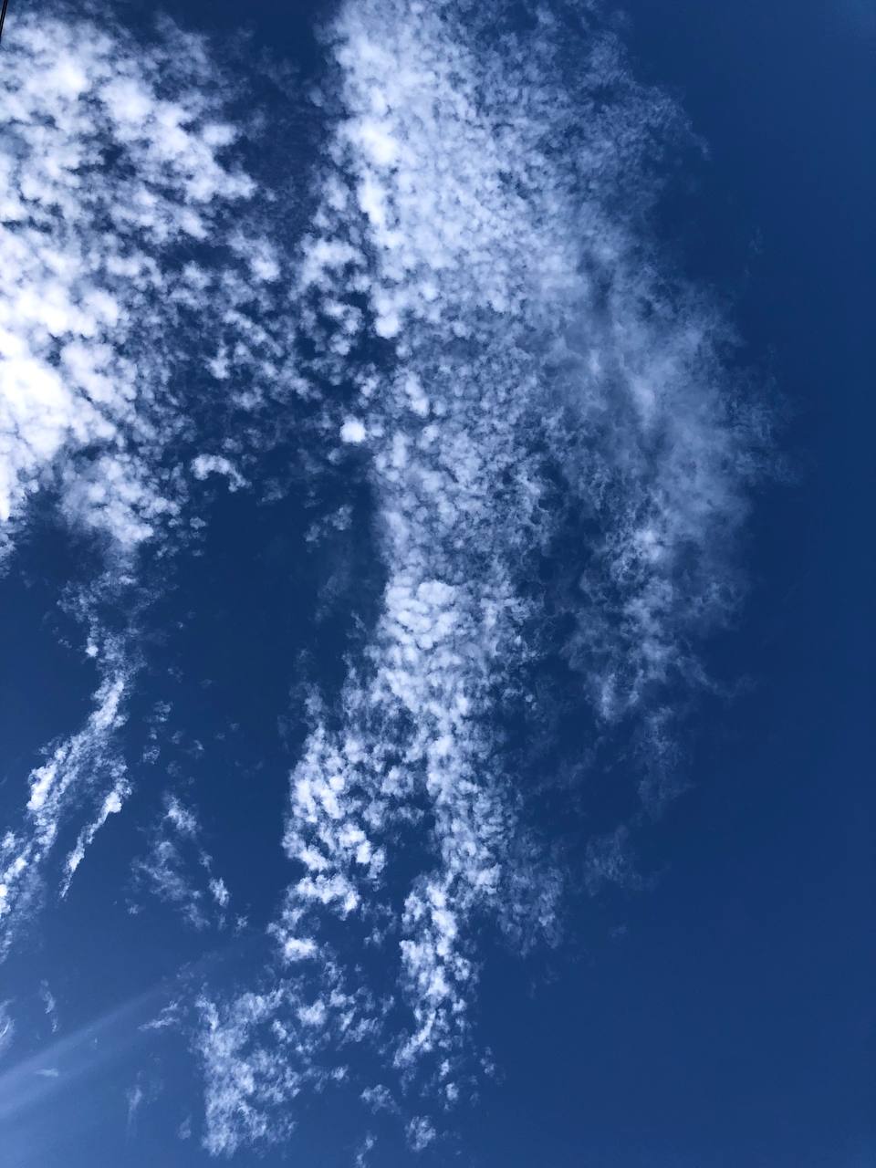 67fe863f21972_20250416_001111.jpg
